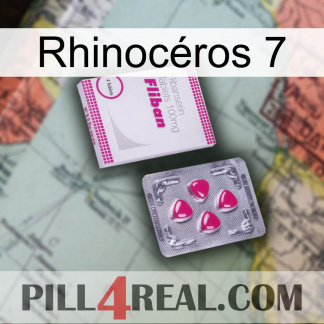 Rhinocéros 7 32